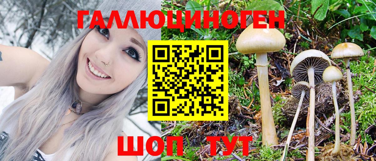 Еманжелинск  Галлюциногенные грибы GOLDEN TEACHER  Вход с VPN  Псилоцибиновые грибы MAGIC MUSHROOMS 